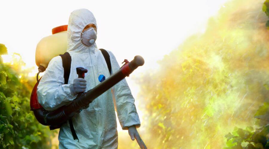 Professional ant control services in Rayzor Ranch - Ant Control Rayzor Ranch