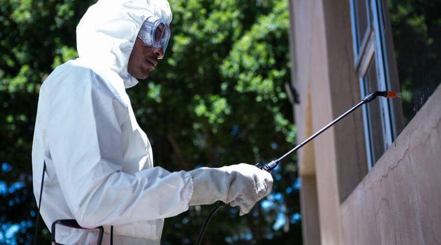 Why choose Ant Control Rayzor Ranch for ant control in Rayzor Ranch